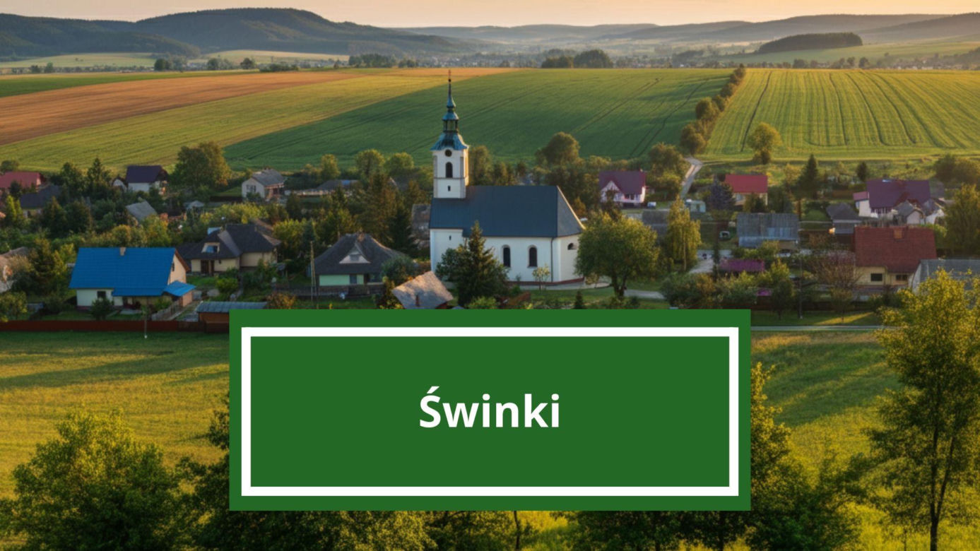 Świnki – wieś w gminie Jarosław, powiat jarosławski.        