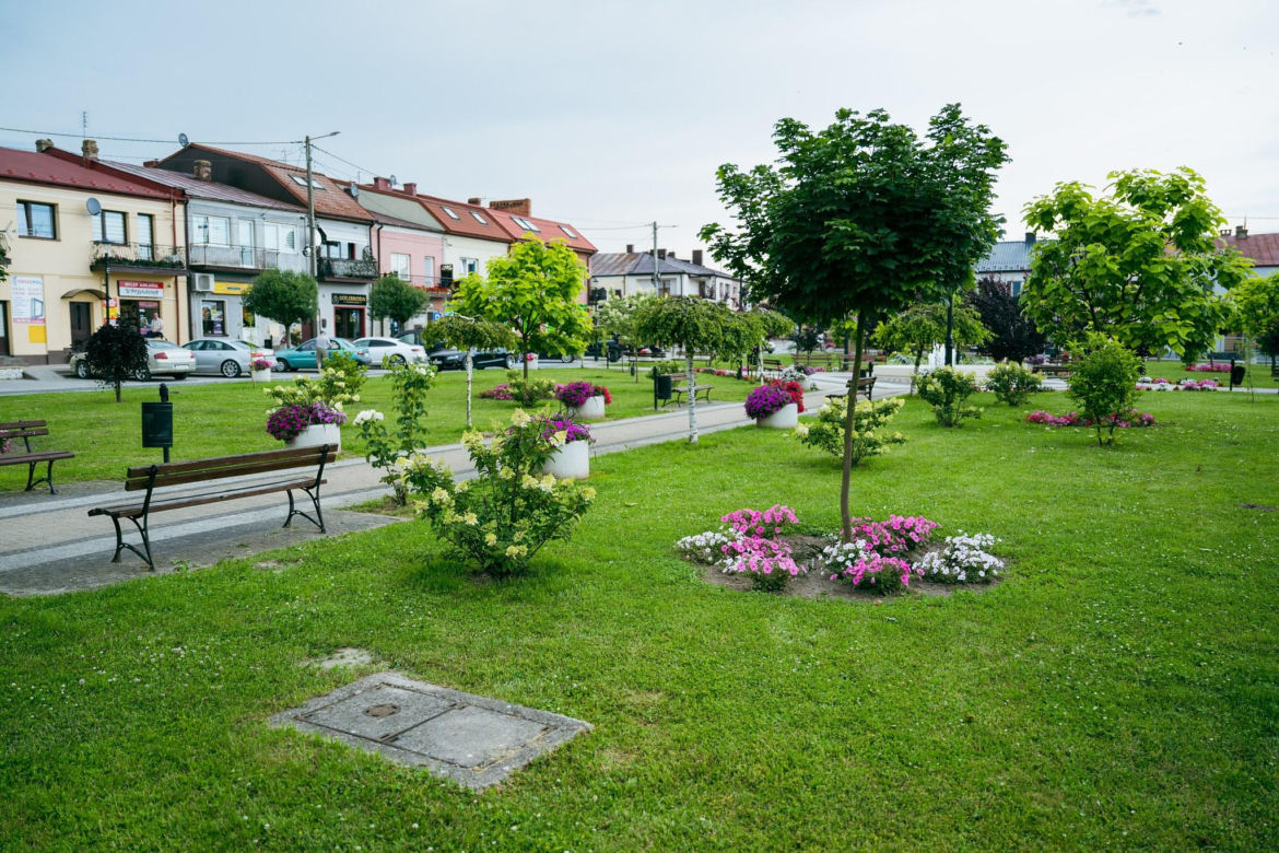 Klimontów 