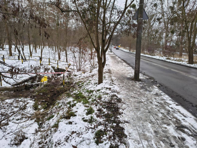 Samochód wpadł do zbiornika w Gliwicach. Policjanci ustalają, jak do tego doszło
