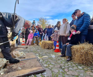 IV Jamneńskie Zakończenie Sezonu Pasterskiego