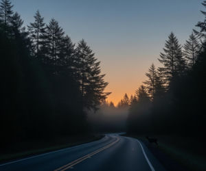 Ciało policjanta znalezione w lesie! 37-latek wcześniej zaginął