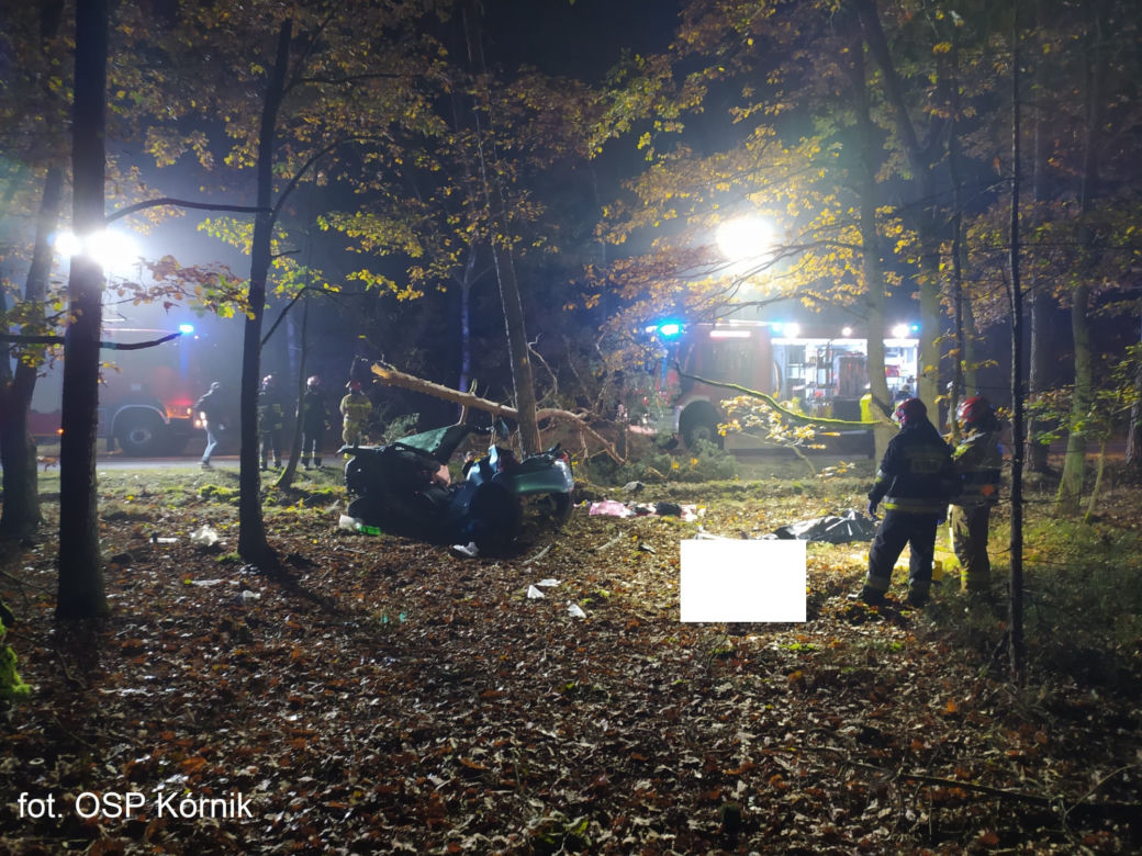 ŚMIERĆ dwóch 18-latków! Nocny dramat na drodze pod Poznaniem