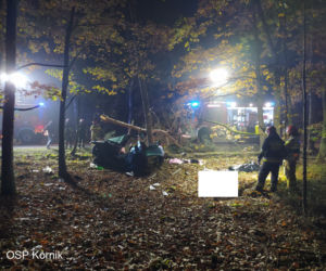 ŚMIERĆ dwóch 18-latków! Nocny dramat na drodze pod Poznaniem