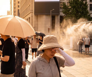 Rekordowa temperatura w Korei Południowej. Zobacz dlaczego wprowadzono najwyższy stopień alertu
