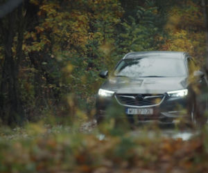 M jak miłość, odcinek 1925: Paweł (Rafał Mroczek)