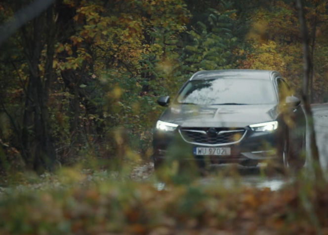 M jak miłość, odcinek 1925: Paweł (Rafał Mroczek)