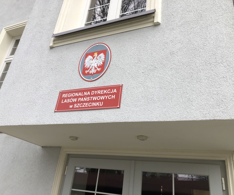 Leśnicy pomagają medykom 