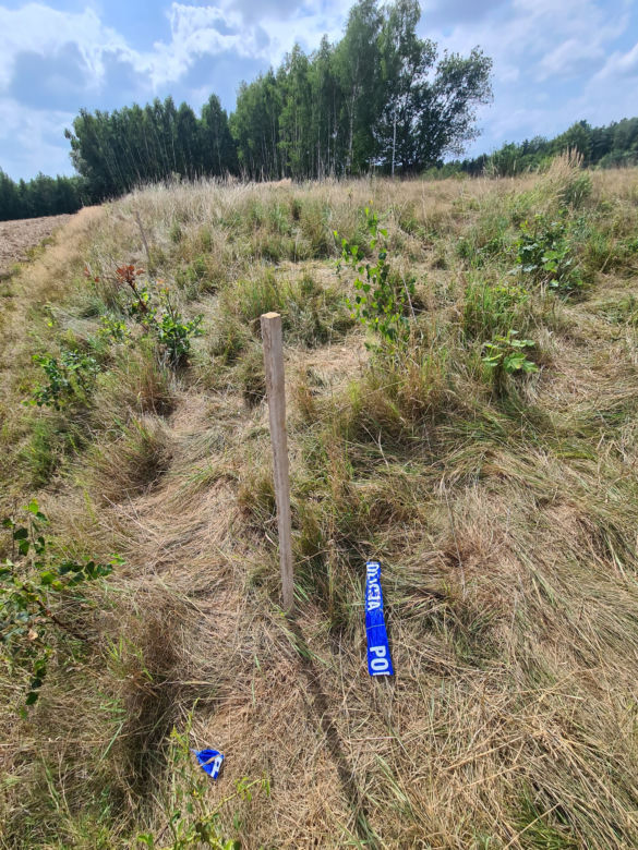 Zabójstwo w Sołonce. Mąż miał zabić żonę [GALERIA]