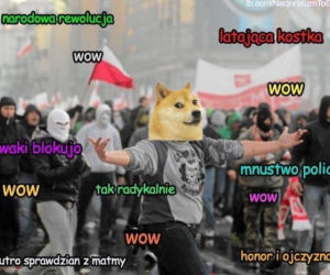 Marsz Niepodległości 2014 memy