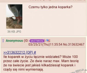 Najbardziej absurdalne teorie spiskowe: Niektórzy mają naprawdę bujną wyobraźnie! 