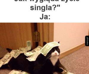 Dzień singla - najlepsze MEMY
