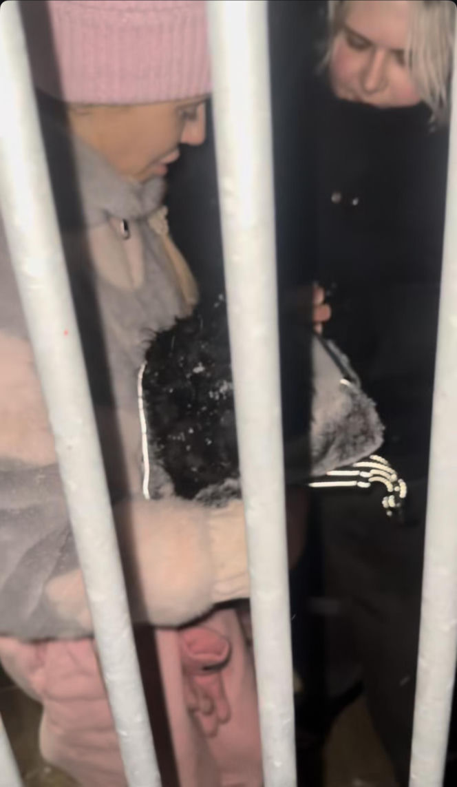 Doda ratuje psy przed mrozem