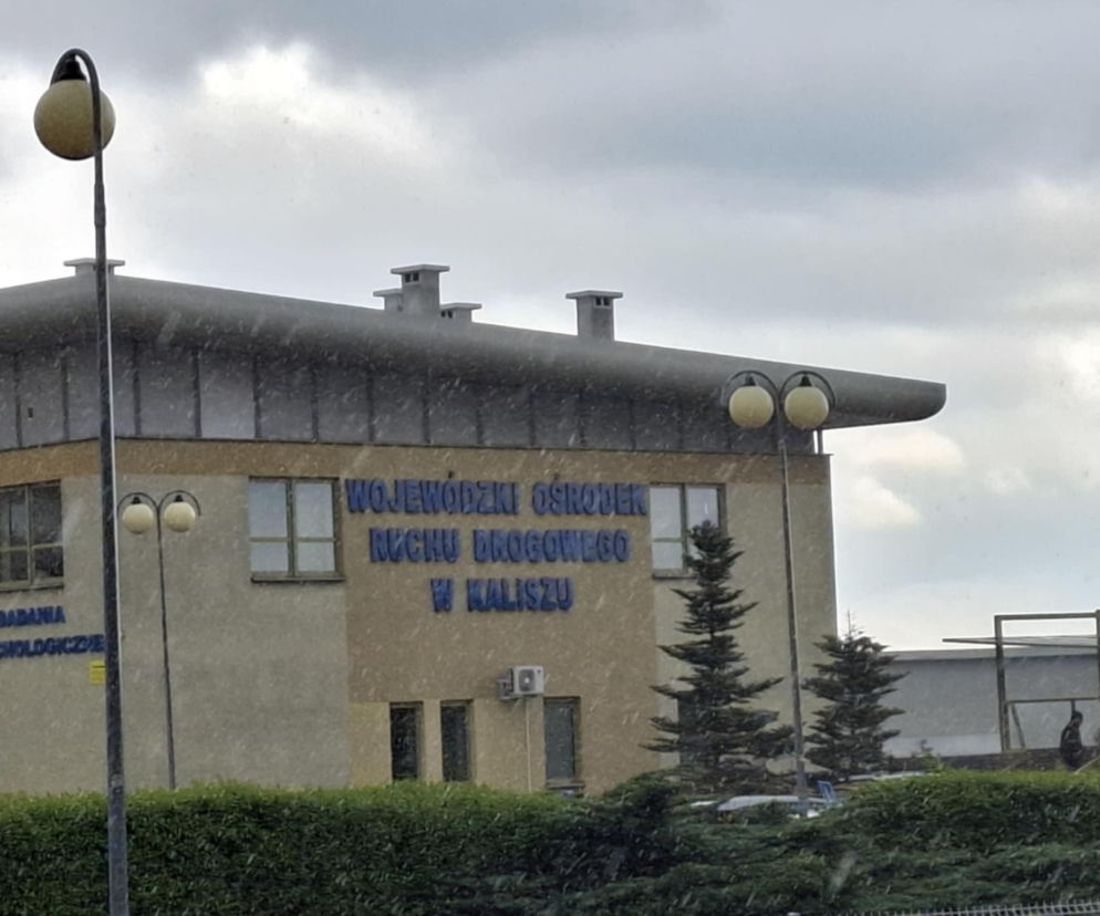 Kalisz. Próbował ściągać na egzaminie teoretycznym na prawo jazdy. Grozi mu więzienie