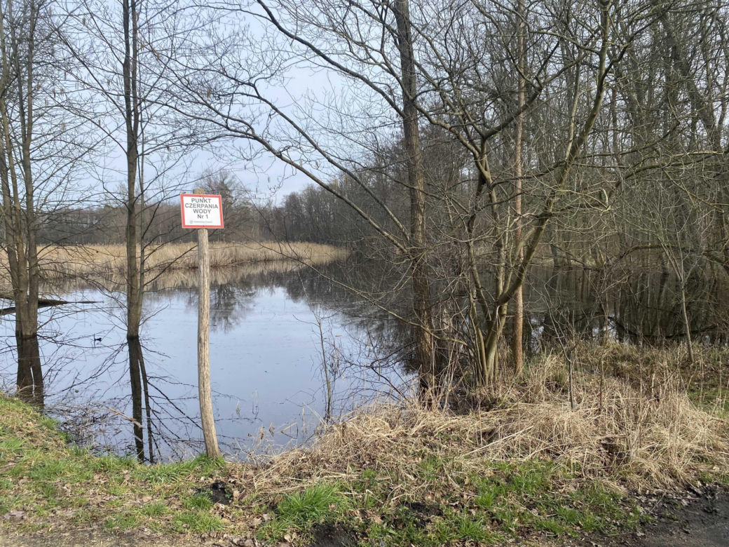 Zmiany w Parku Odrzańskim w Zielonej Górze. Zobacz jak wygląda obecnie