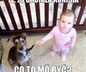 Jo chciała konisia