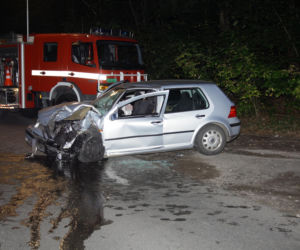 Tadeusz zginął próbując ratować Perełkę. Nocna podróż samochodem zakończona tragedią
