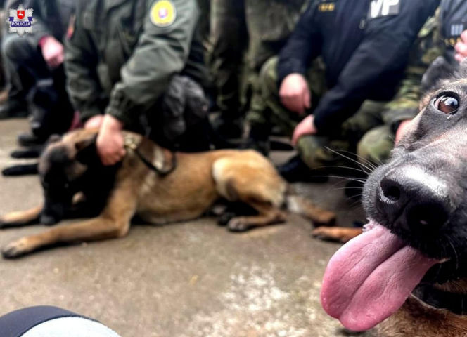 Tajga z lubelskich kontrterrorystów wróciła z międzynarodowego szkolenia