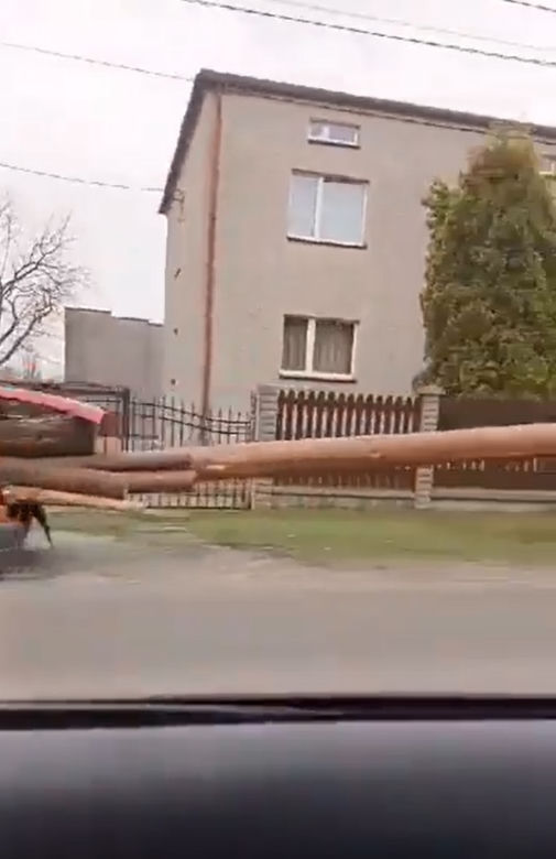 Wiózł cinquecento wielkie kawały drzewa. Auto ledwo jechało. W końcu zatrzymała go policja