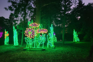 Pierwszy park iluminacji w Poznaniu już działa! [CENY,GODZINY OTWARCIA]