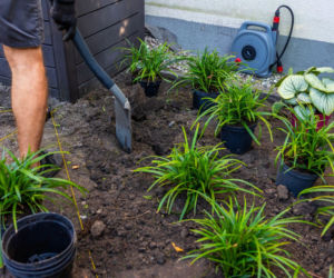 Jak kupować i sadzić rośliny wiosną? Mamy wskazówki!