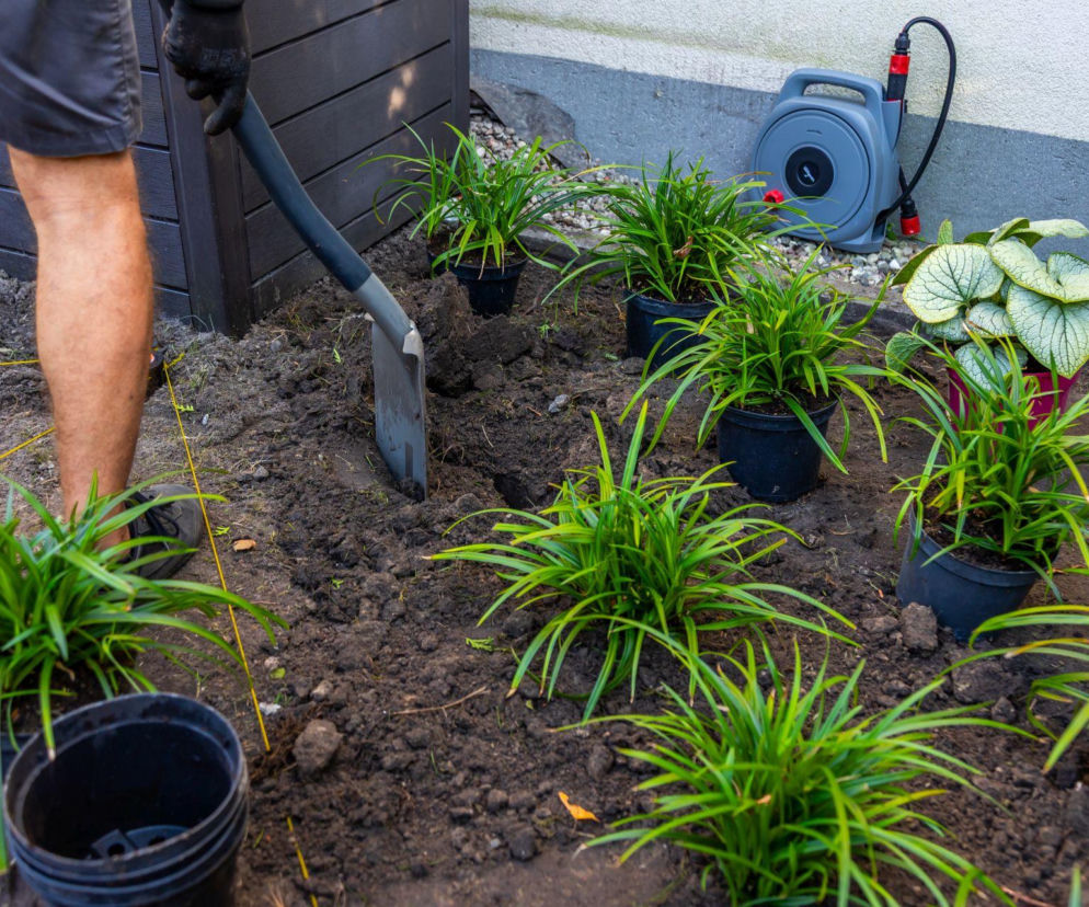 Jak kupować i sadzić rośliny wiosną? Mamy wskazówki!