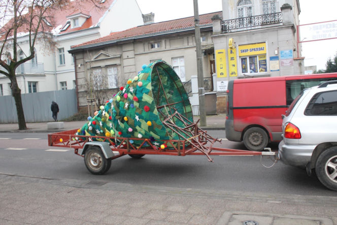 Dziargana choinka w Kościanie
