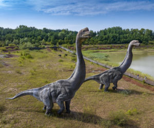 Dinozaury, trzęsienia ziemi i wakacyjny relaks. To miejsce będzie hitem sezonu wakacyjnego 2026!