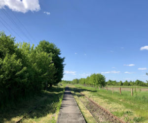 To miasto w województwie małopolskim ma jeden z najpiękniejszych rynków. Olśniewa również zabytkowym ratuszem