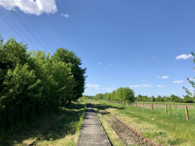To miasto w województwie małopolskim ma jeden z najpiękniejszych rynków. Olśniewa również zabytkowym ratuszem