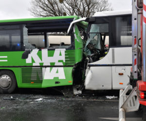 Szczecin: Zderzenie autobusów