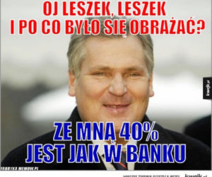 Wybory parlamentarne 2015 [MEMY]