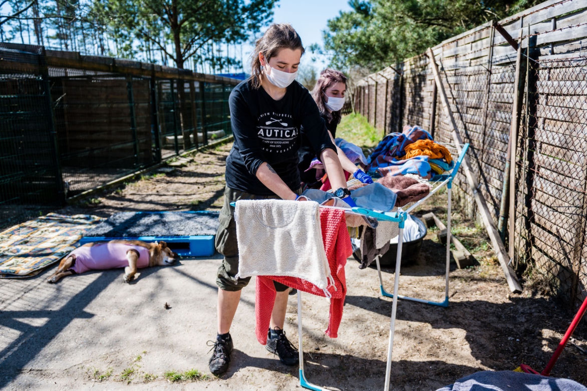 Koronawirus w Trójmieście. Zamieszkali razem ze zwierzętami w schronisku [ZDJĘCIA]