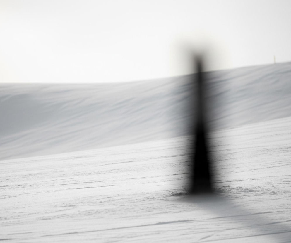 Na pierwszym planie, centralnie, widoczny jest pionowy, rozmazany, czarny kształt przypominający słupek lub drzewo, rzucający rozmyty cień w prawą stronę. Obszar za tym obiektem to rozległy, ośnieżony teren ze śladami na śniegu, biegnącymi równolegle do horyzontu. W tle wznosi się śnieżna góra lub pagórek, a u góry obrazu dominuje jasne, niemal białe niebo.