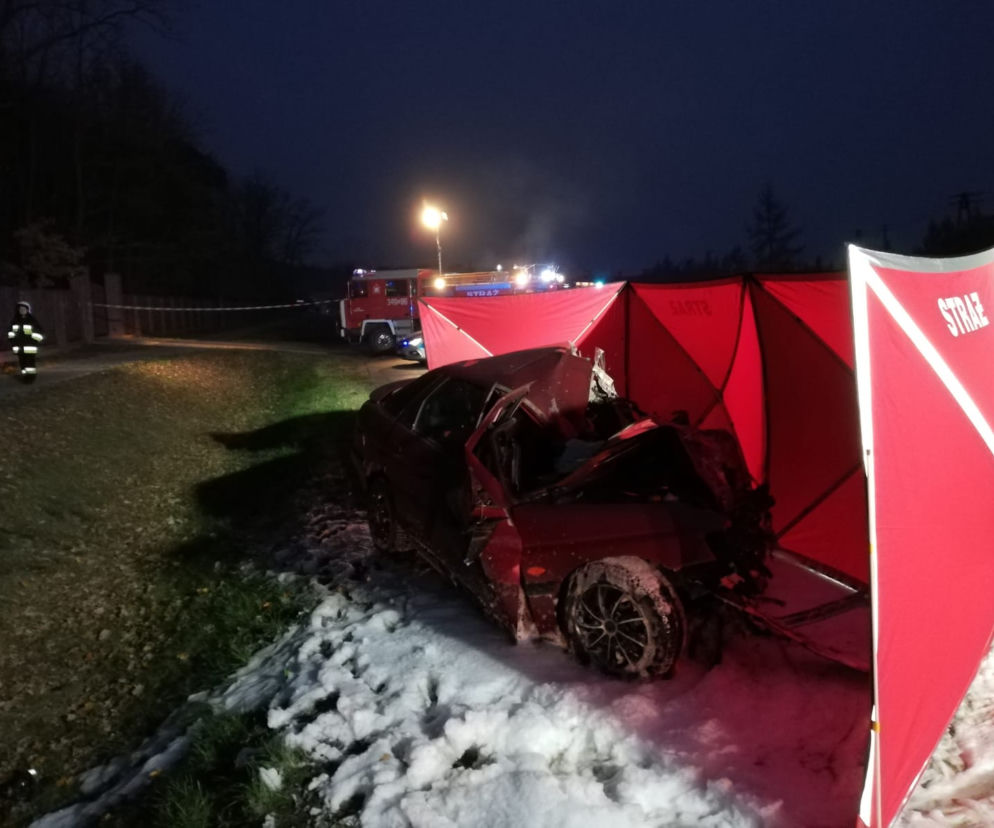 Śmiertelny wypadek pod Toruniem - policja poszukuje świadków