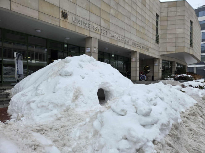 Igloo powstało przed wejściem na Wydział Biologii UW - zima 2026