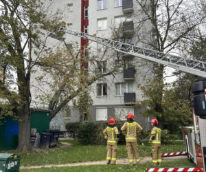 Potworne skutki wichury w Warszawie