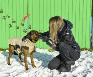 Doda i Rozenek-Majdan walczą o prawa zwierząt