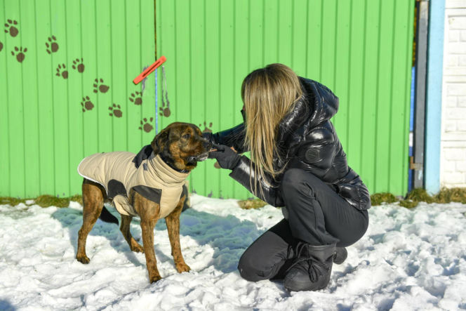Doda i Rozenek-Majdan walczą o prawa zwierząt