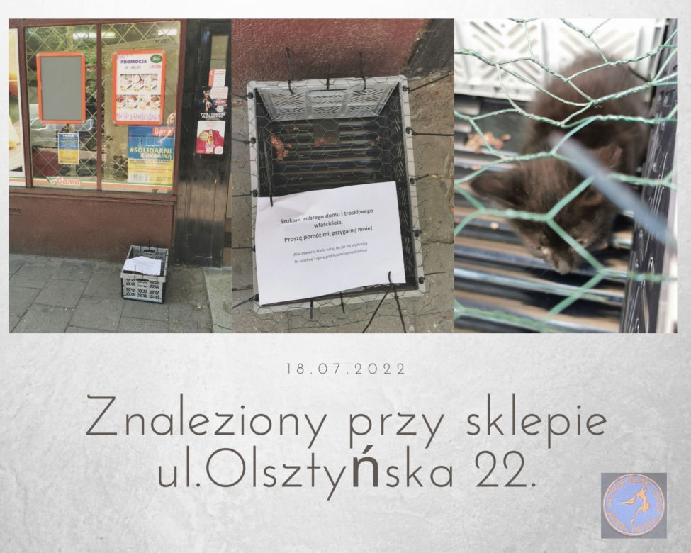 Łódź. Ktoś podrzuca pod sklepy zwierzęta. "Odrobina, ale jednak serca w człowieku"