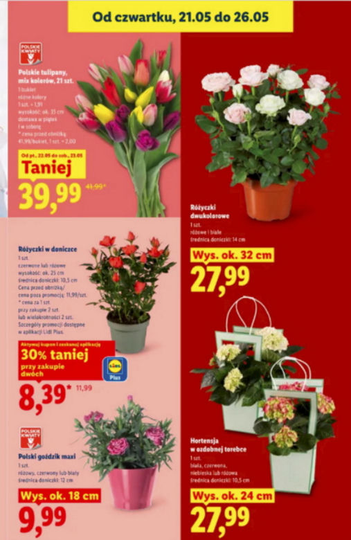 Dzień Matki w Lidlu