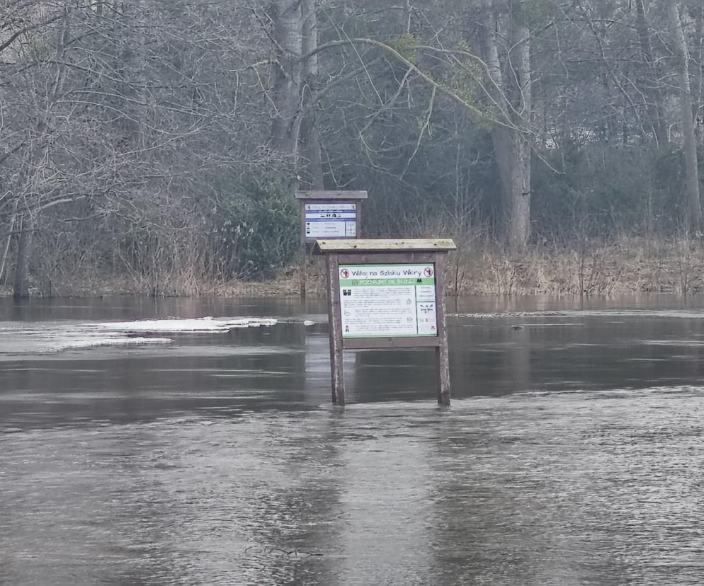 Przekroczenie poziomu alarmowego na Wkrze - sytuacja w piątek