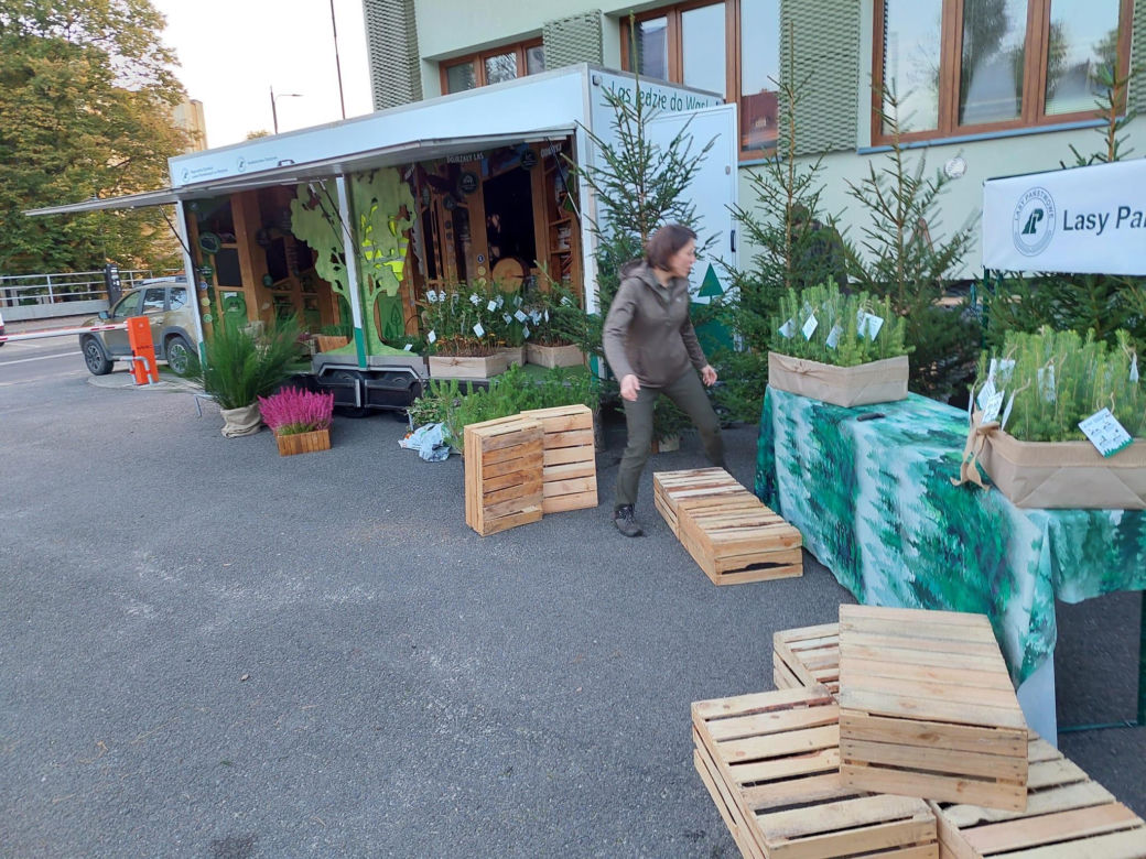 Leśnicy z Olsztyna rozdają za darmo sadzonki. To już piąta edycja akcji