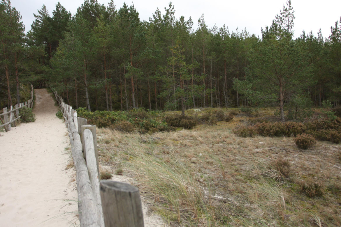 Wejście nr 48 plaża w Słajszewie