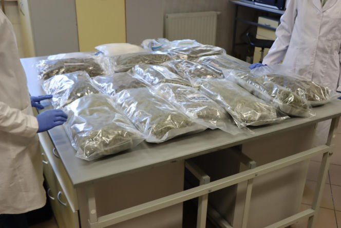 Policjanci zabezpieczyli prawie 20 kg narkotyków o wartości blisko 2 mln złotych