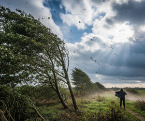 Silny wiatr w Polsce. Czy jesteś w strefie zagrożenia IMGW?
