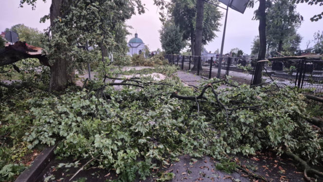 Potężna wichura w Wielkopolsce! Zerwane dachy, powalone drzewa i ogromne zniszczenia