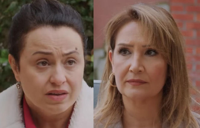 Miłość i nadzieja, odcinek 351: Feraye pomoże Bahar w rozwodzie?! Cavidan podejdzie ją, by była po ich stronie - ZDJĘCIA