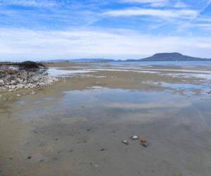 Balaton wysycha i zamienia się w kałużę. Potężne jezioro odsłoniło dno