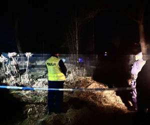 Makabryczne odkrycie w Jeleniej Górze. Ciało 12-latki znalezione niedaleko szkoły