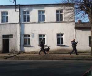 Poćwiartowałem żonę dla renty